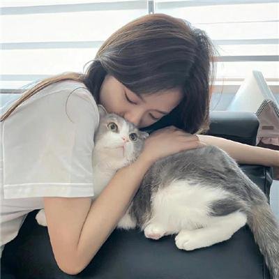 石纪元第四季